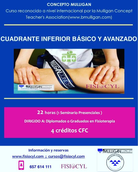 cursos fisioterapia fisiocyl