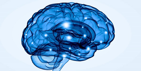curso concepto bobath fisioterapia neurología formación fisiocyl