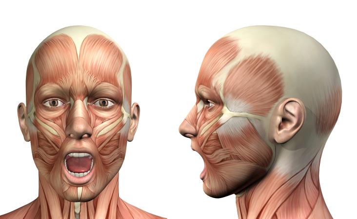 Curso- fisioterapia-patrones-clínicos-atm-fisiocyl